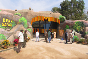 Bear-safari-1
