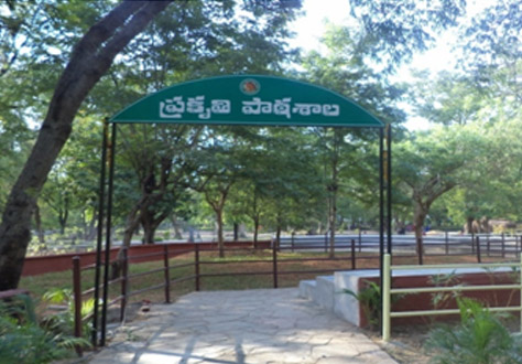 amphi theatre